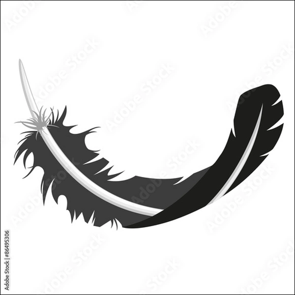 Obraz feather