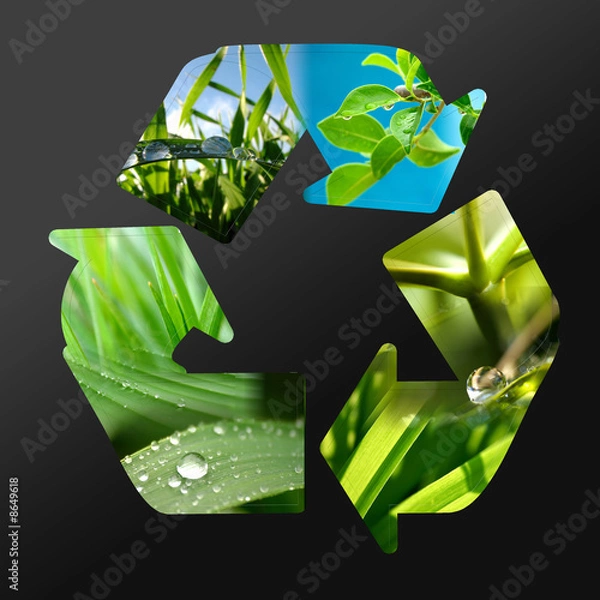 Fototapeta recycler nature