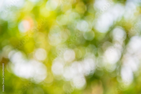 Fototapeta Bokeh tree