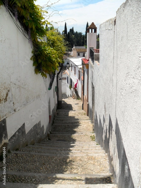 Obraz Long escalier à Grenade