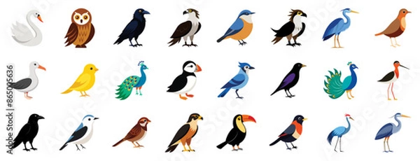 Fototapeta Collection of various bird species icons, vector cartoon illustration. Features swan, owl, raven, peacock, falcon, toucan, puffin.