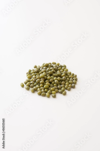 Obraz 緑豆