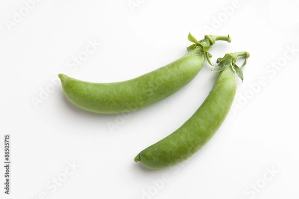 Obraz スナップエンドウ