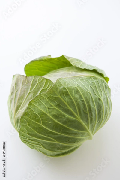 Obraz キャベツ