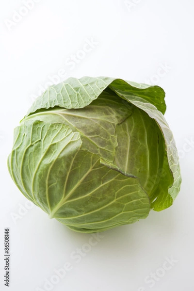 Obraz キャベツ