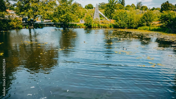 Obraz nature purity grass and trees on the the pond in vasteras city in Sweden