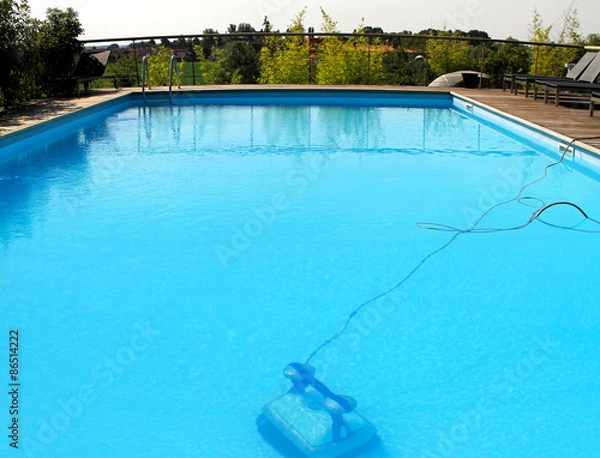 Obraz Swimming pool robot