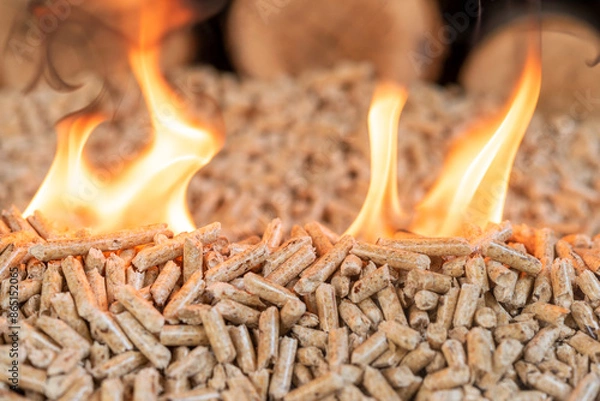 Fototapeta A pile of wood pellets on fire. Behind in defocus there is a wall of wood.