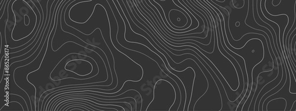 Obraz Topographic wave and curve line contour map background. Abstract wavy topographic map and curved lines background. Abstract geographic wave grid line map. Vector illustration.
