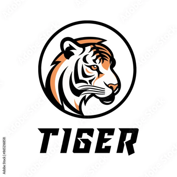 Fototapeta tiger head vector