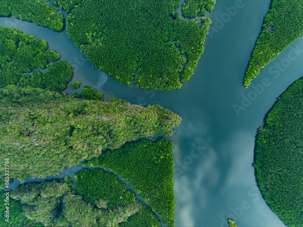 Obraz View from above, aerial shot, stunning view of Ao Phang Nga (Phang Nga Bay) National Park with a river flowing through a mangrove forest Thailand.