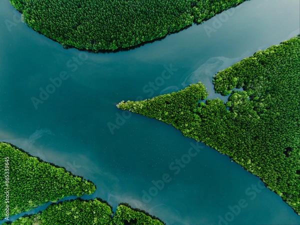 Obraz View from above, aerial shot, stunning view of Ao Phang Nga (Phang Nga Bay) National Park with a river flowing through a mangrove forest Thailand.