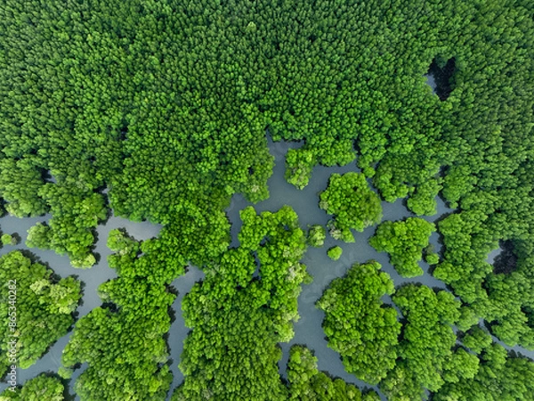 Obraz View from above, aerial shot, stunning view of Ao Phang Nga (Phang Nga Bay) National Park with a river flowing through a mangrove forest Thailand.