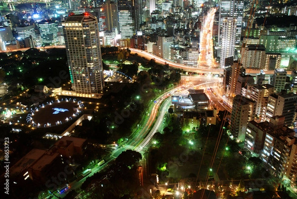 Obraz Artères de Tokyo