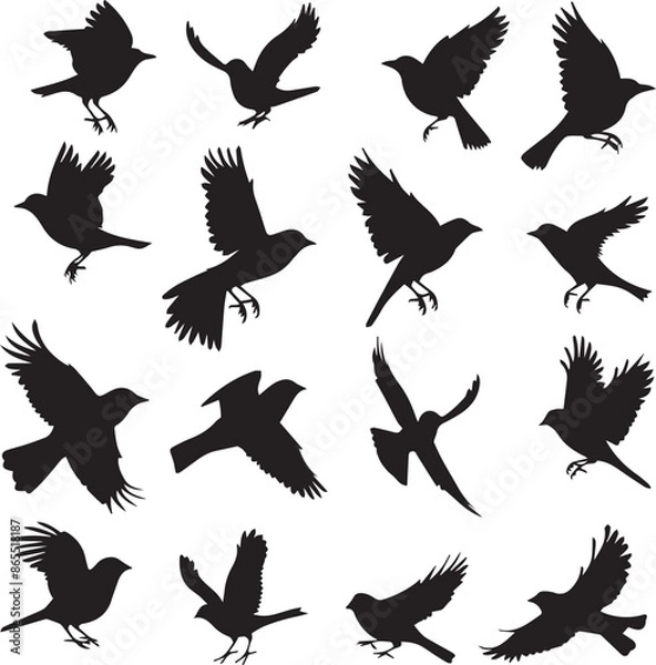 Obraz Collection of Black Bird Silhouettes: Vector Design Elements