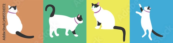 Fototapeta Collection of vector illustrations of a white cat. Funny pet. Isolated objects on a bright background.