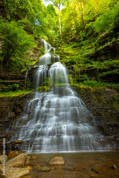 Obraz waterfall in the forest