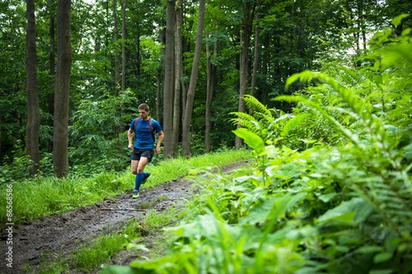 Obraz middle age trail runner training in the woods on the muddy track