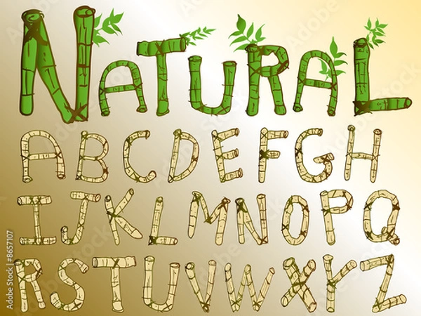 Fototapeta Natural Bamboo Alphabet