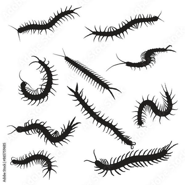 Obraz Centipede Vector Art Silhouette Bundle