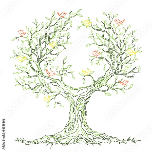 Fototapeta Vector graphic green branchy tree with birds