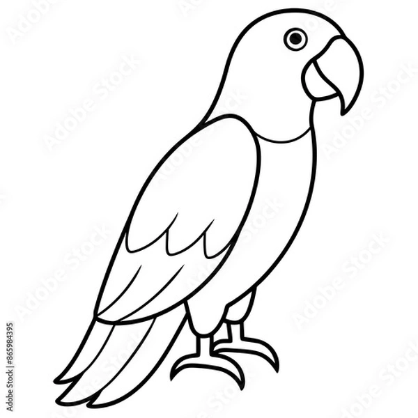 Obraz parrot on a branch