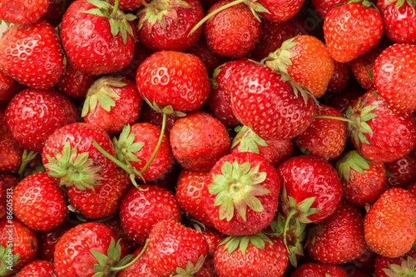 Obraz Fresh Strawberry Background