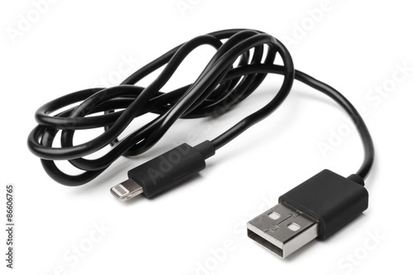 Obraz 8 Pin to USB Cable
