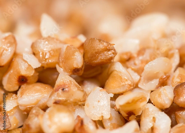 Obraz buckwheat groats as background. close