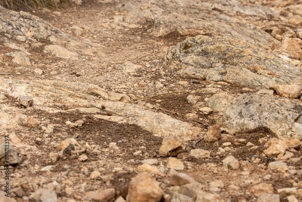 Obraz Eroded soil showing bare rock face