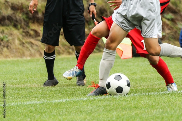 Fototapeta サッカー　フットボール