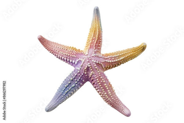 Fototapeta Pastel starfish isolated on transparent background