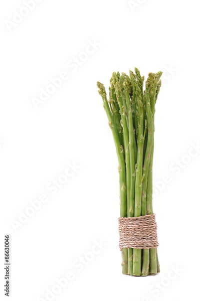 Fototapeta asparagus on white background