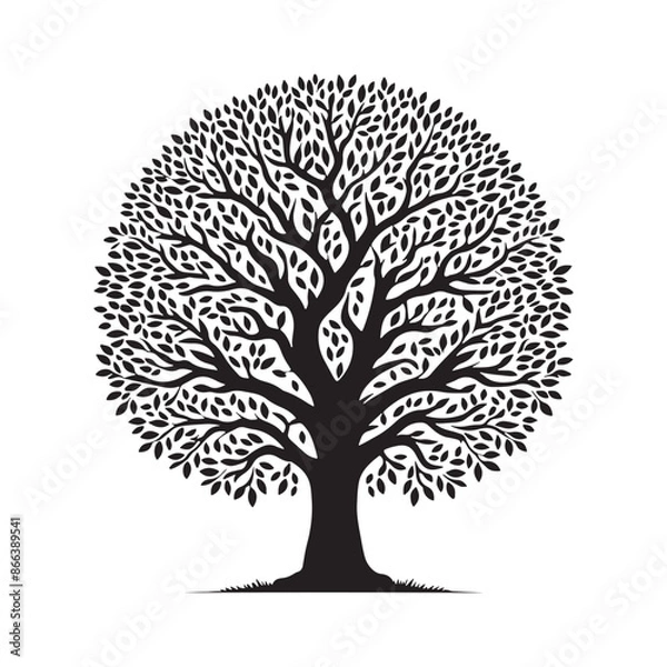 Fototapeta Black Vector silhouette of tree on white background
