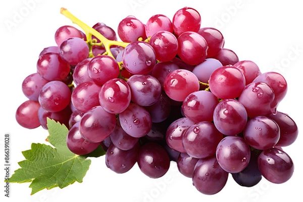 Obraz Grapes fruit on transparent background 