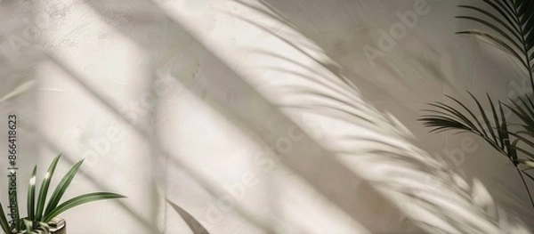 Fototapeta Blurred overlay technique for photos and mockups with organic drop diagonal shadow and light rays on a white textured wall for natural lighting effects.