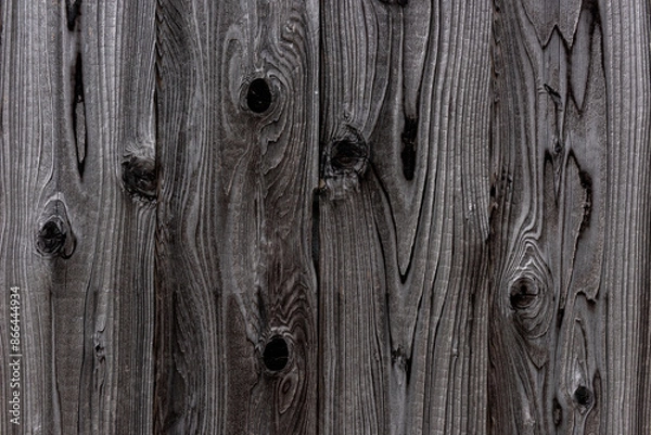 Fototapeta Gray wood texture with natural pattern. Abstract background.