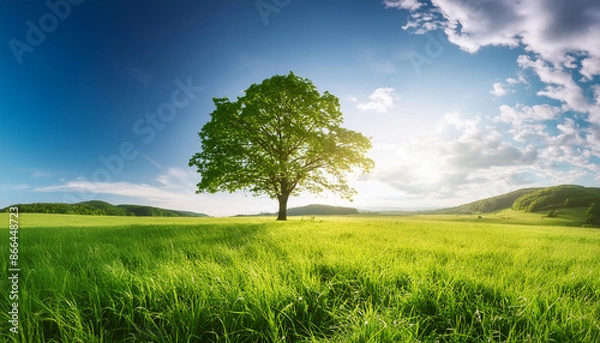 Obraz エコロジーイメージ　環境保護　サステナブル