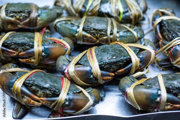 Obraz eingewickelte Krebse auf dem Markt