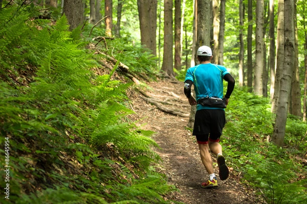 Obraz male trail runner on the track in the woods