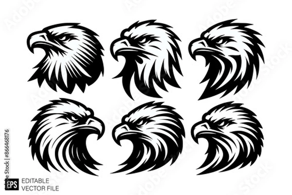 Fototapeta Elegant eagle head black and white vector design