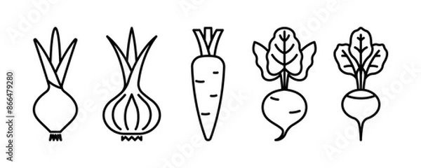 Obraz Onion, garlic, carrot, beet, radish - vegetables line icon. Root vegetables linear illustration. Icon set, thin stroke, editable line