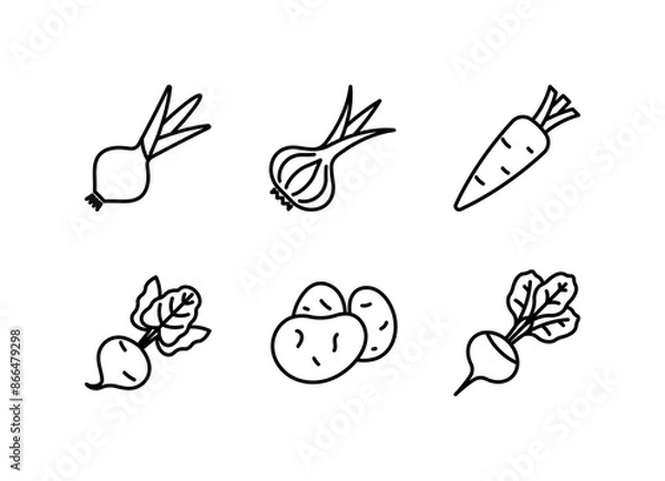Obraz Onion, garlic, carrot, beetroot, potato, radish - vegetables line icon. Linear illustration. Ingredients for cooking. Icon set, thin stroke, editable line