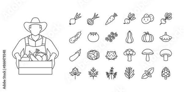 Obraz Vegetables line icon set - onion, garlic, carrot, potatoes, cucumber, tomato, pumpkin, eggplant, mushrooms, parsley, dill, thyme, basil Minimalist linear illustrations. Icon set, editable line