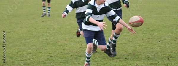 Obraz rugby