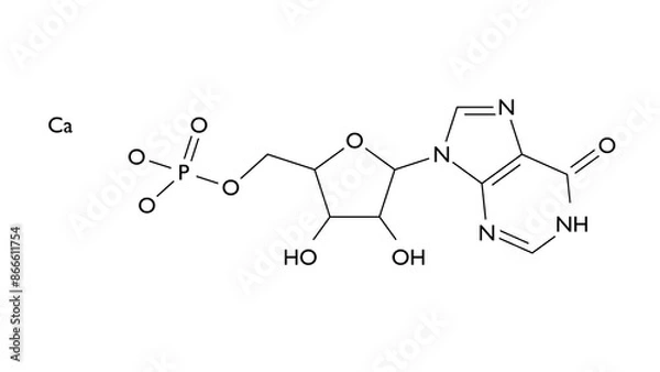 Fototapeta calcium inosinate molecule, structural chemical formula, ball-and-stick model, isolated image flavor enhancer e633