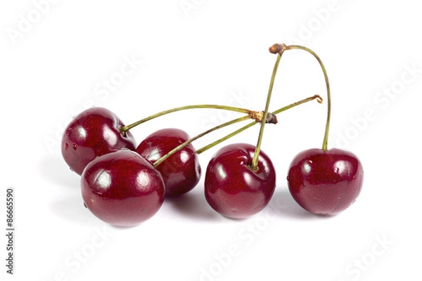 Obraz Five ripe cherries isolated on white