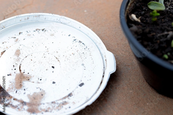 Obraz Abandoned plant pot with accumulated water. The location could be a potential focus for larvae of the Aedes aegypti mosquito, which transmits diseases such as dengue, Zika and chikungunya.