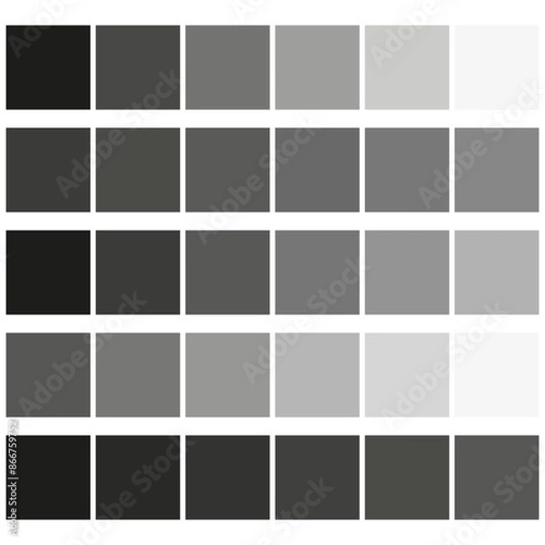 Fototapeta Grayscale color palette. Gradient shades grid. Black to white transition. Vector illustration.