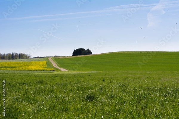 Fototapeta Nutzfläche